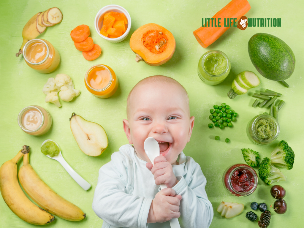 First food for babies at 6 months